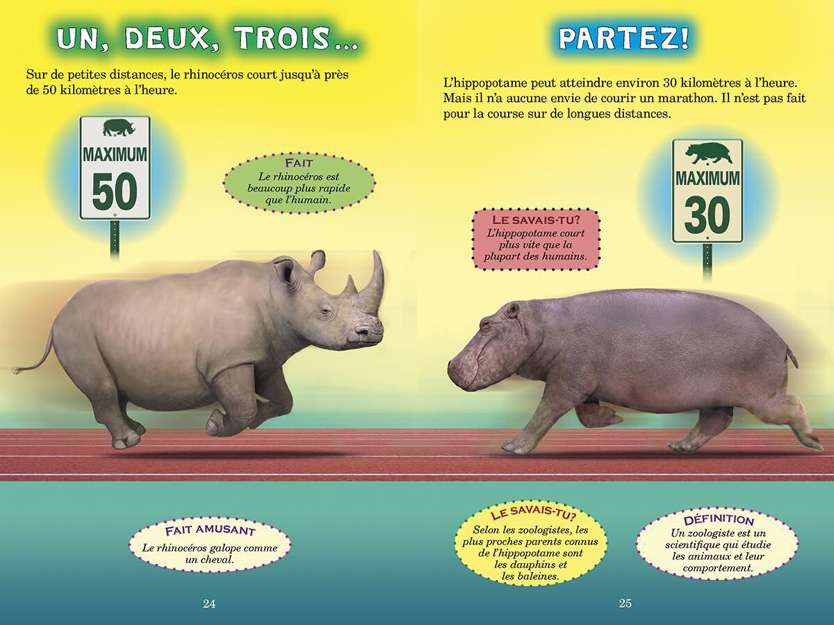 Thumbnail 2Qui va gagner? Le rhinoc&eacute;ros ou l'hippopotame?