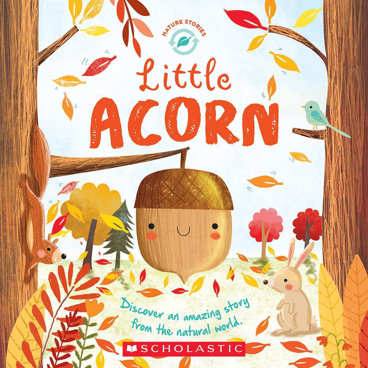 Thumbnail 2Pumpkin and Acorn Lifecycle 2-Pack