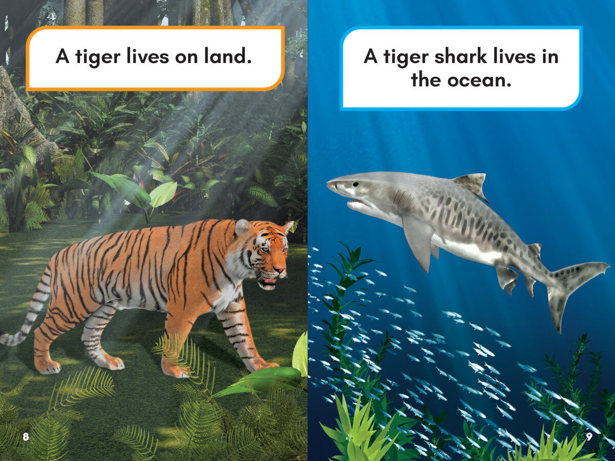 Thumbnail 4 What Would You Rather Be?: A Tiger or a Tiger Shark 
