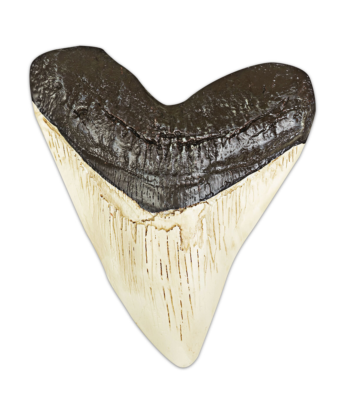 Thumbnail 2 Ocean Beasts 