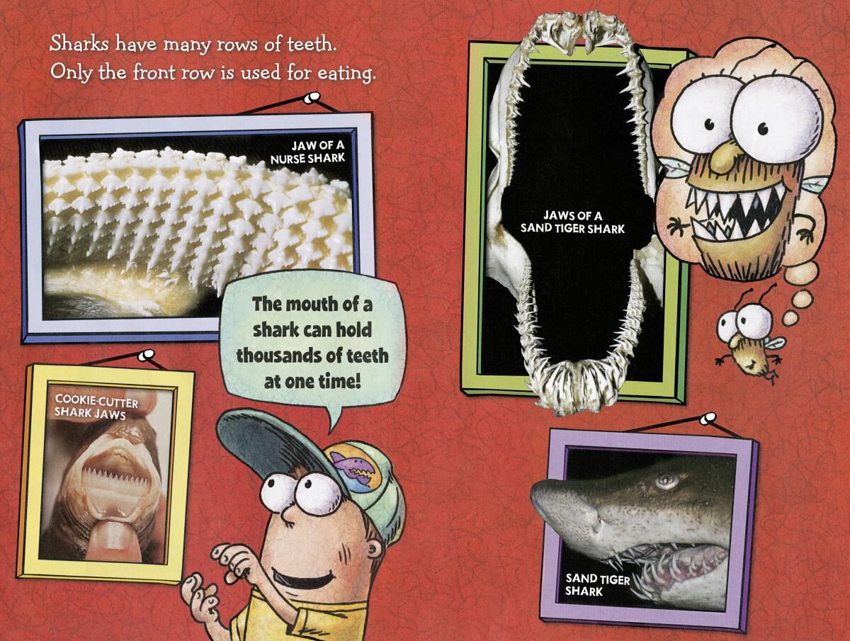 Thumbnail 3 Fly Guy Presents Fun Facts Value Pack 