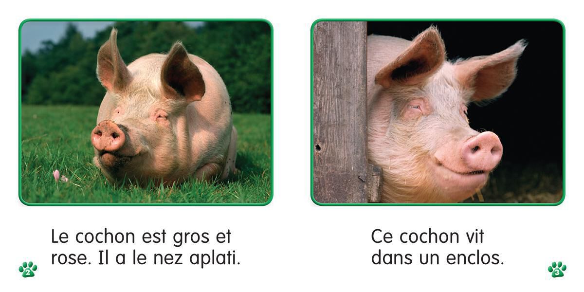 Thumbnail 7 Collection Je lis! Animaux - S&eacute;rie 2 