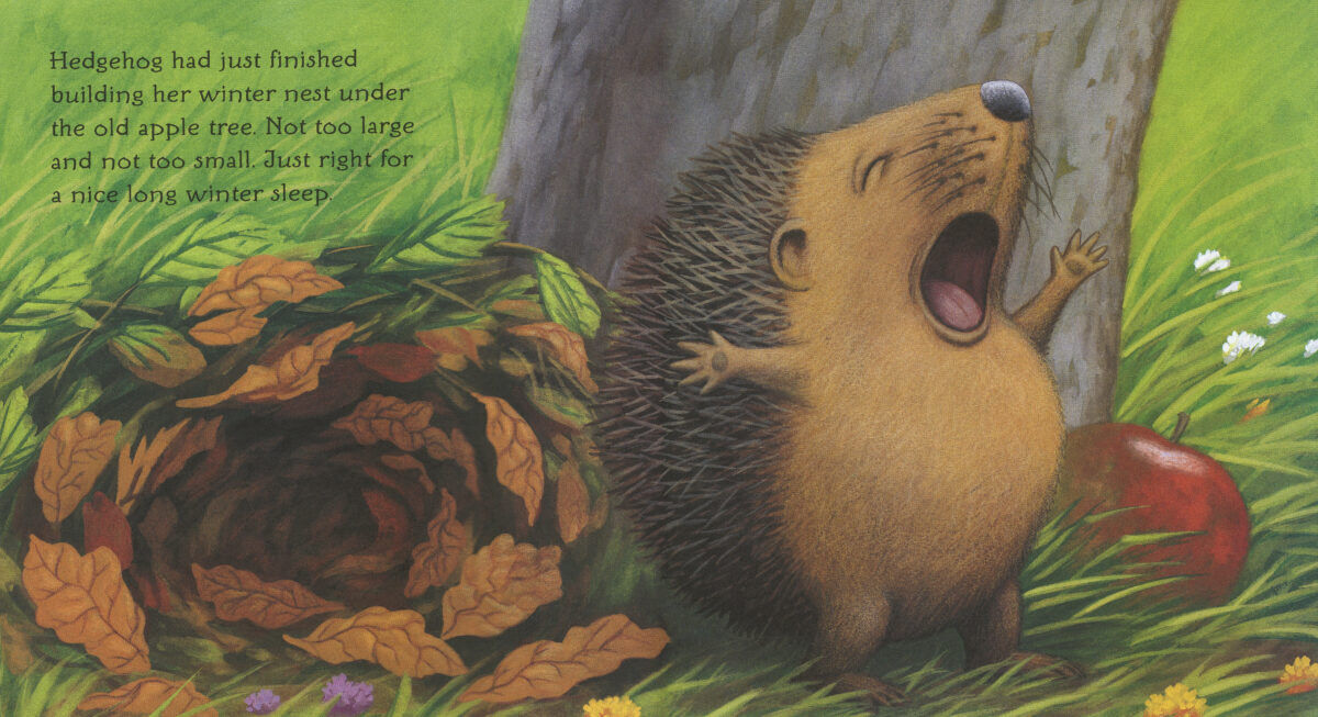 Thumbnail 7Fall Picture Book 6-Pack