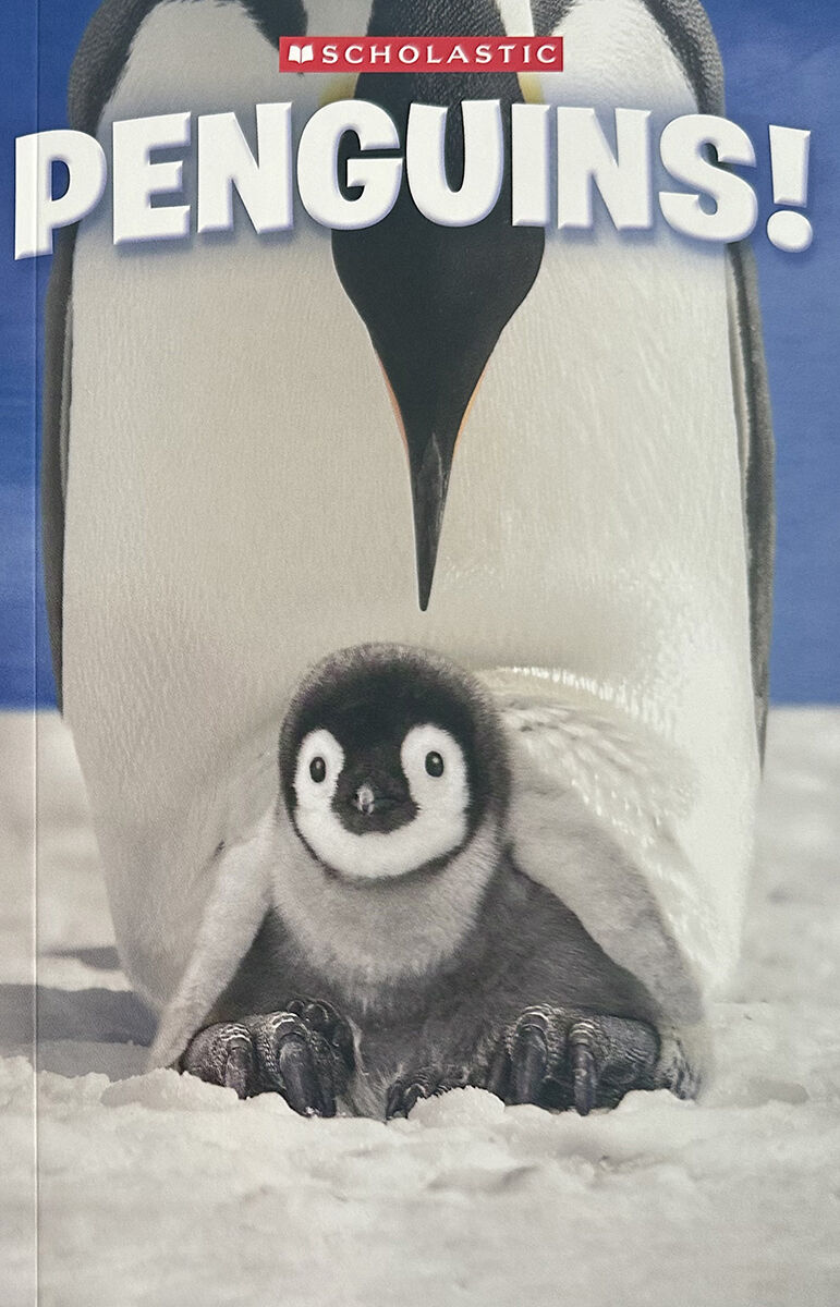 Thumbnail 4Cute Animal Readers 3-Pack