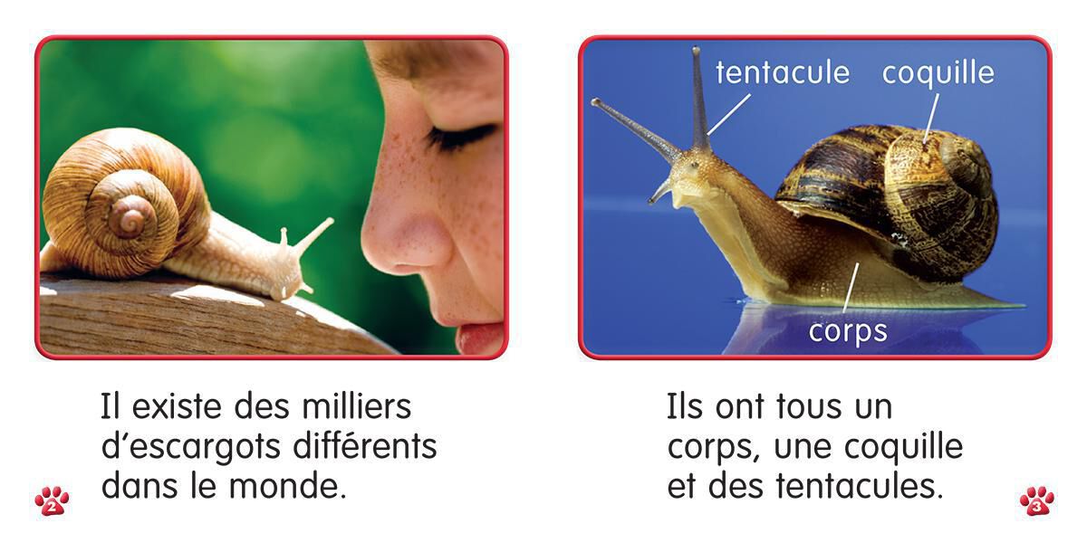 Thumbnail 5 Collection Je lis! Animaux - S&eacute;rie 1 