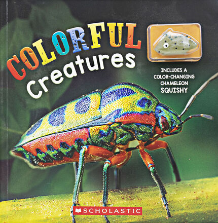  Colourful Creatures 