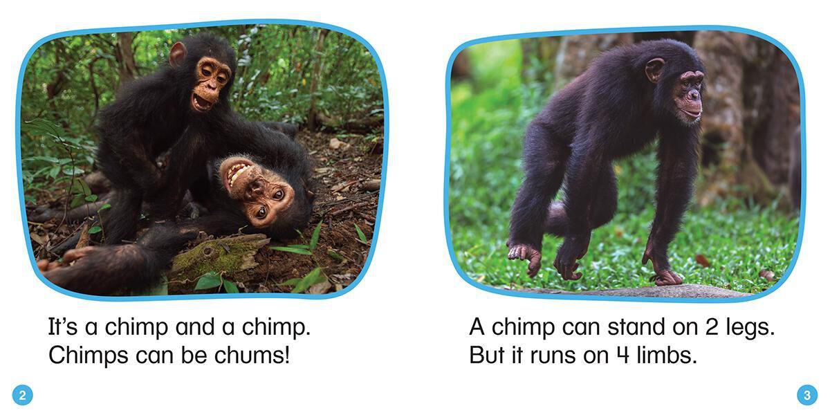 Thumbnail 9 Nonfiction Phonics Readers Set 2: Long Vowels, Digraphs &amp; More 