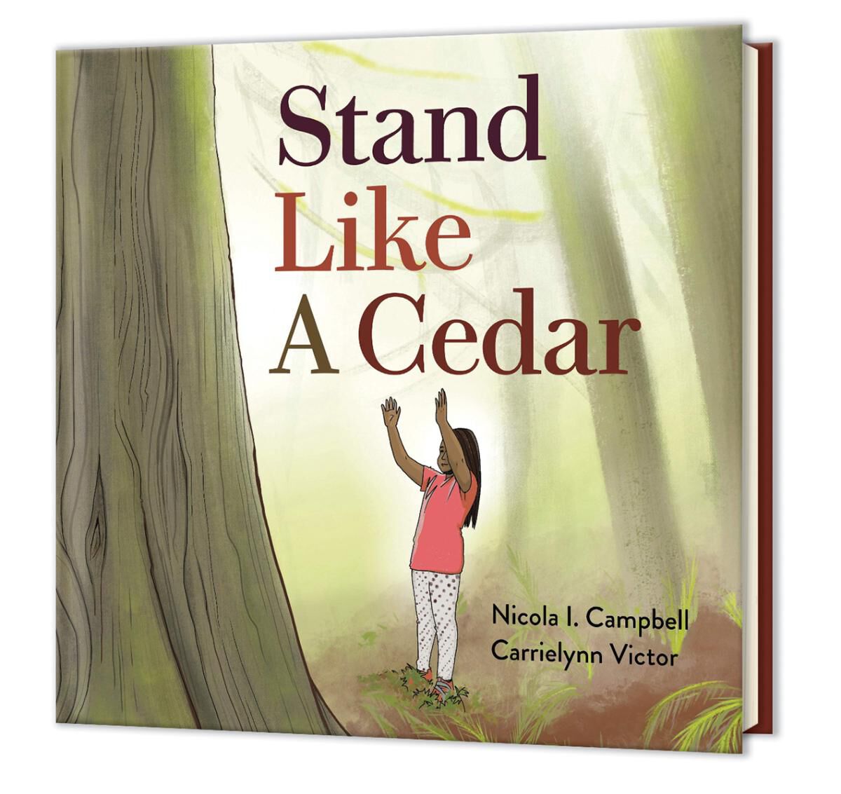  Stand Like a Cedar 