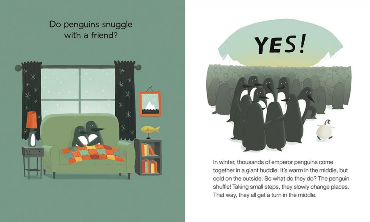 Do Frogs Drink Hot Chocolate 10Pack Scholastic Canada Clubs de lecture