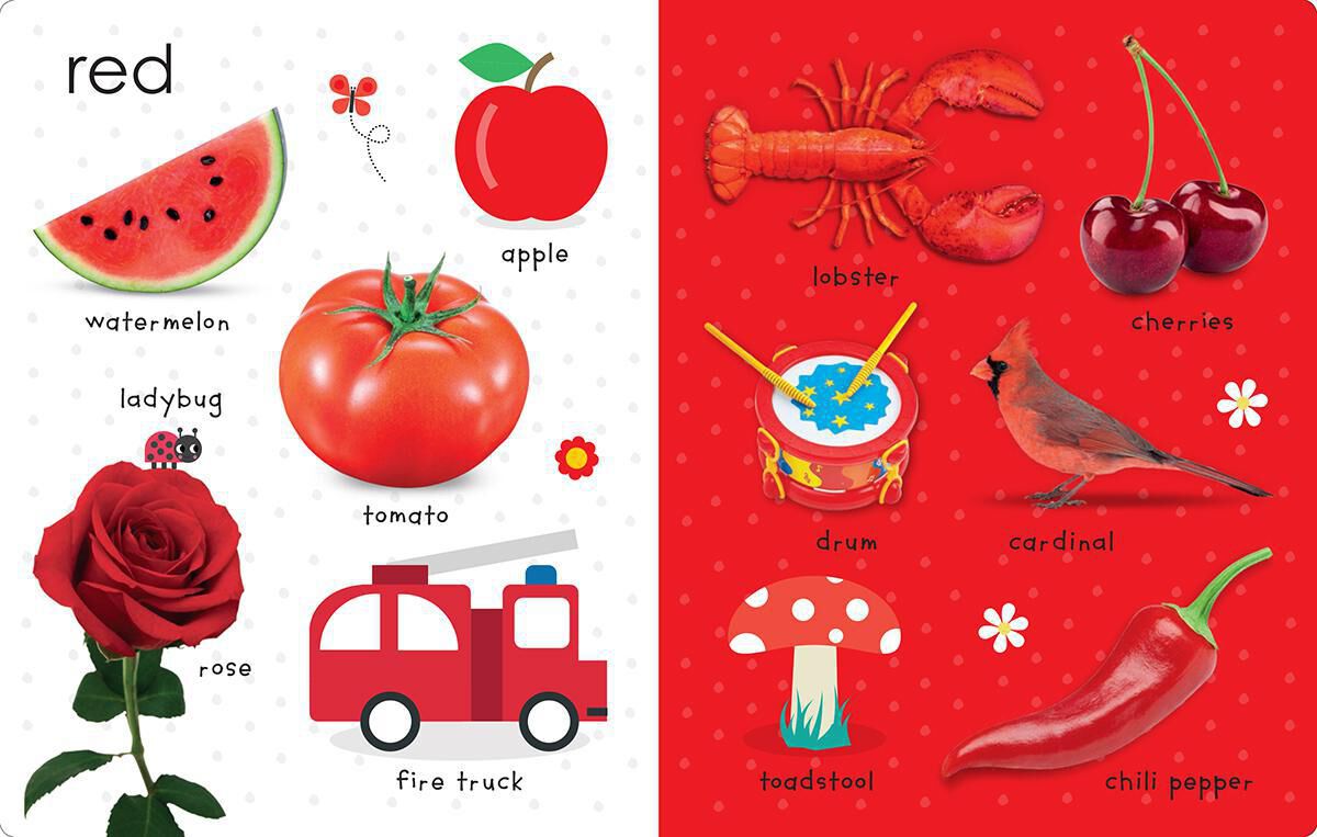 Thumbnail 9My First Canadian Concepts Board Book Pack