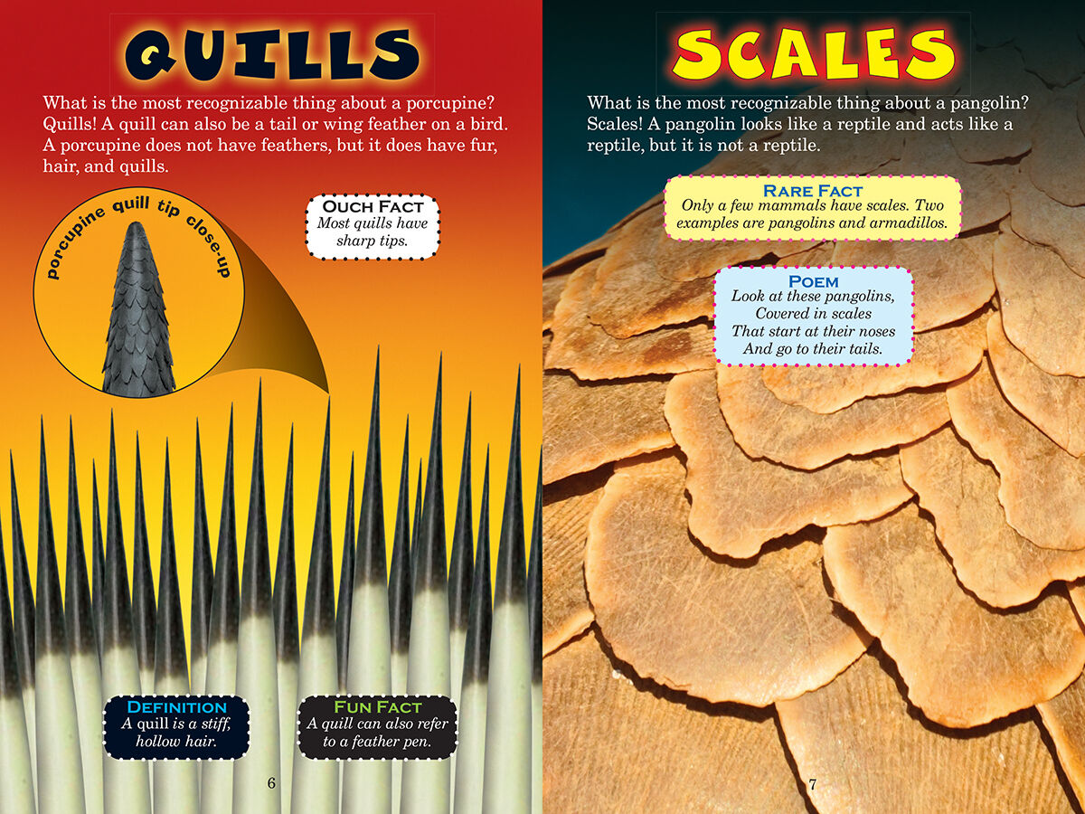 Thumbnail 3 Who Would Win?: Porcupine vs. Pangolin 