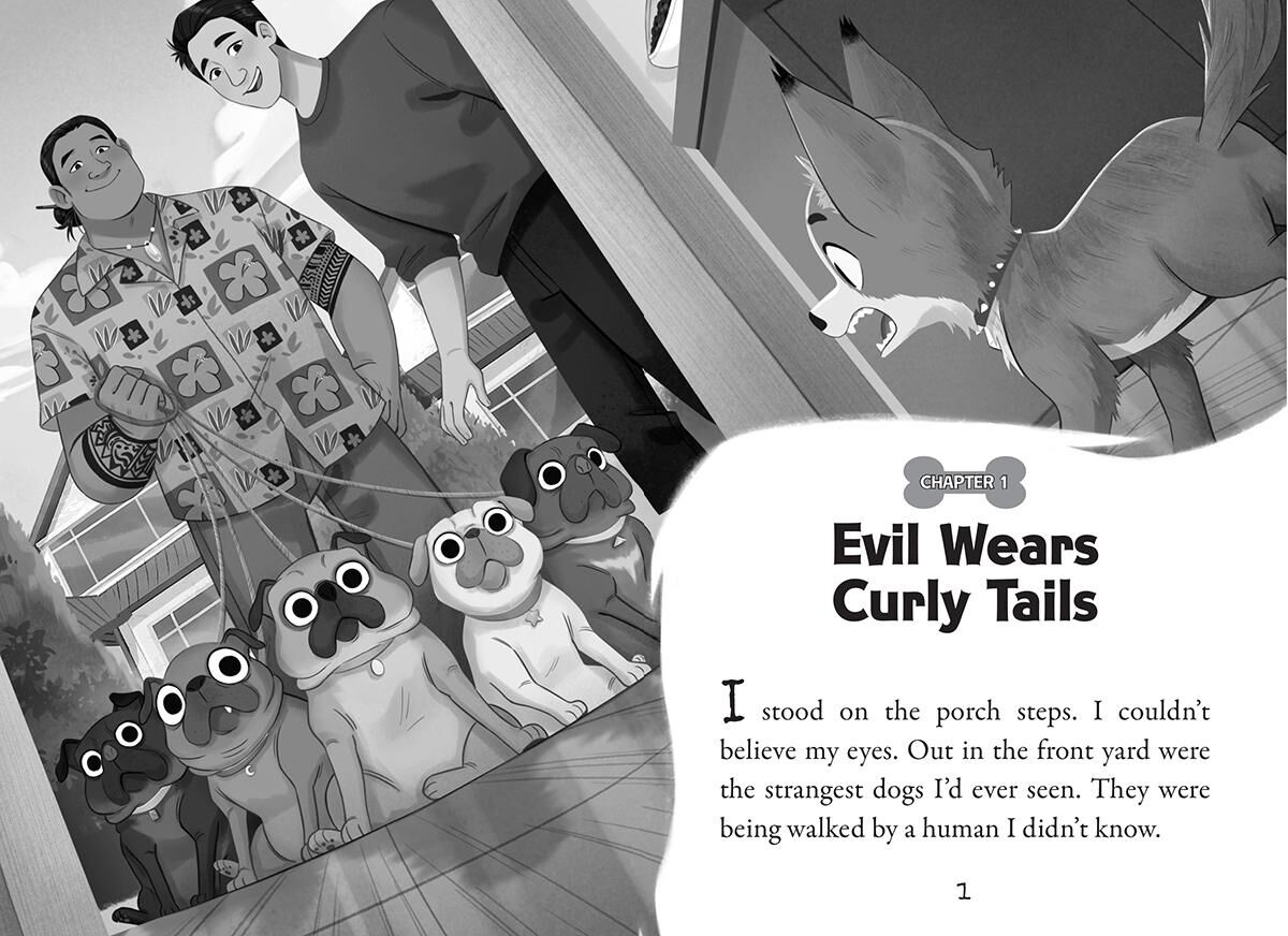 Pets Rule #1-#5 Pack | Scholastic Canada Book Clubs