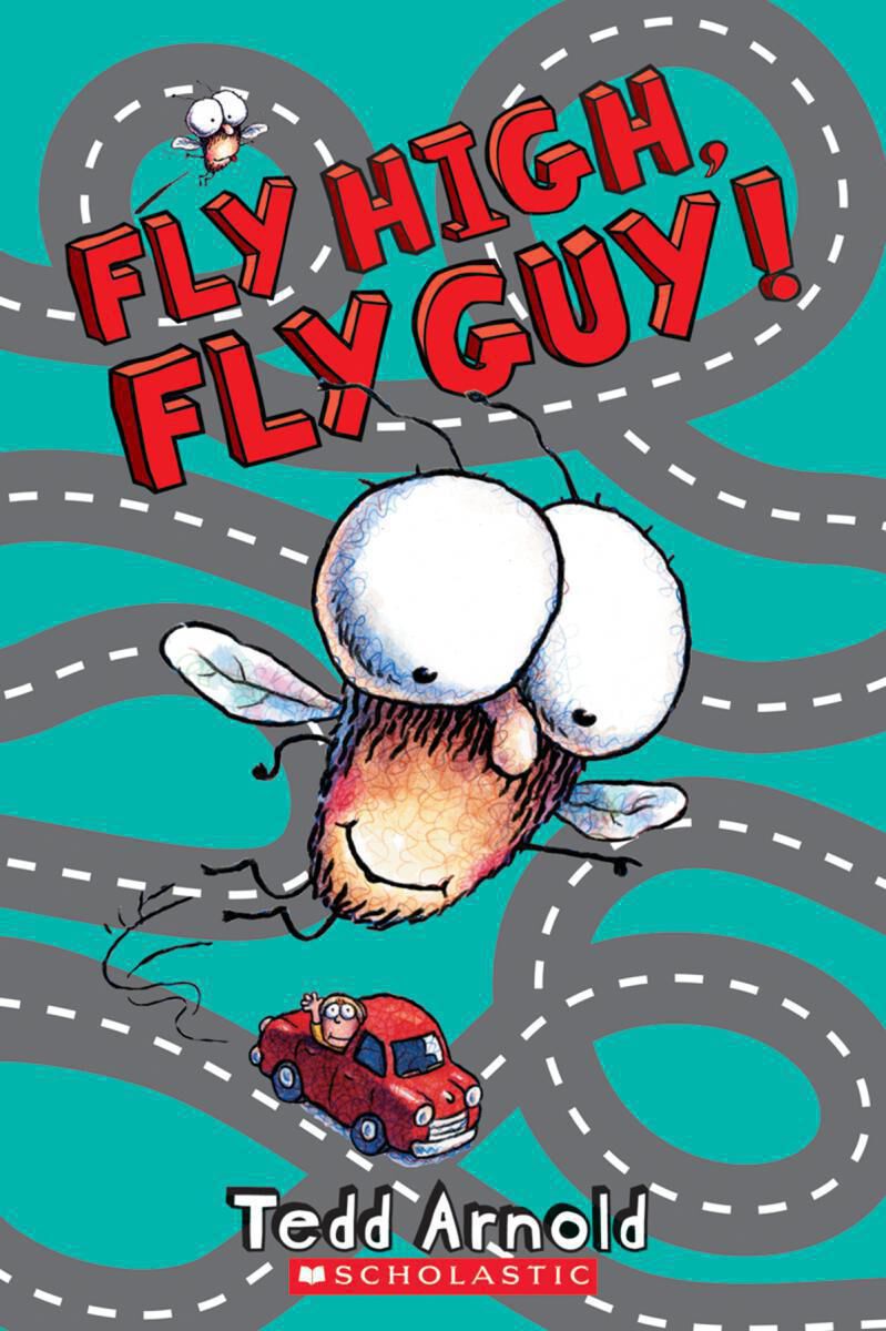 Thumbnail 10 Fly Guy 10-Pack 