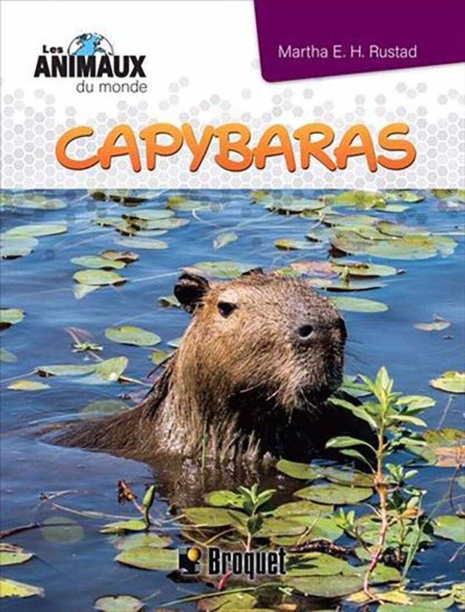  Les animaux du monde : Capybaras 