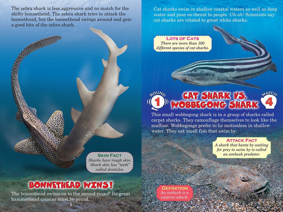 Who Would Win? Ultimate Small Shark Rumble | Scholastic Canada Book Clubs