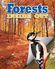 Thumbnail 9 Ecosystems Inside Out 10-Pack