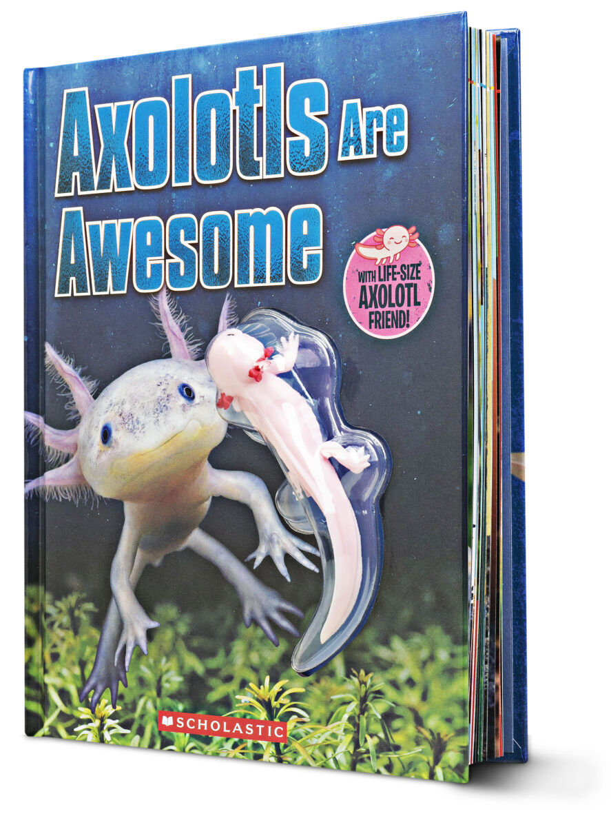  Axolotls are Awesome 