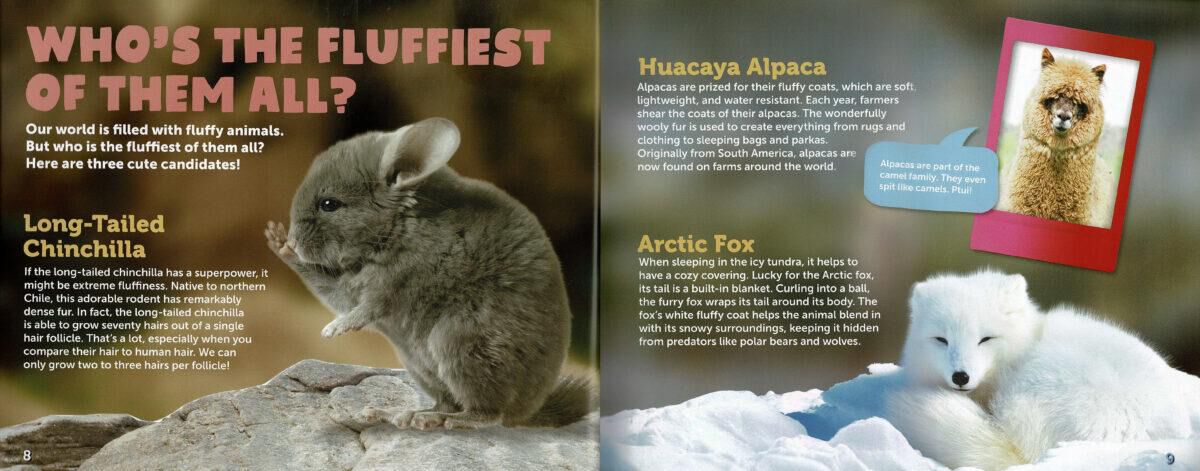Thumbnail 5Cutest Animals of All Time