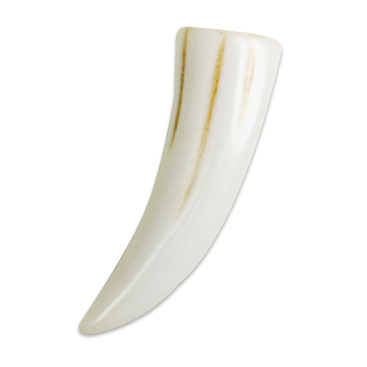 Thumbnail 2 Crocodiles Rule! 