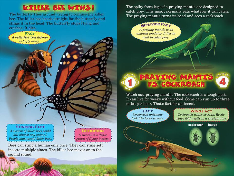 Who Would Win?® Ultimate Bug Rumble | Scholastic Canada Book Clubs