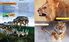 Thumbnail 3 Predator Battles