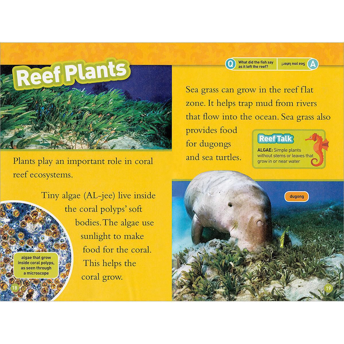 Thumbnail 7National Geographic Kids: Fact Attack 12-Pack