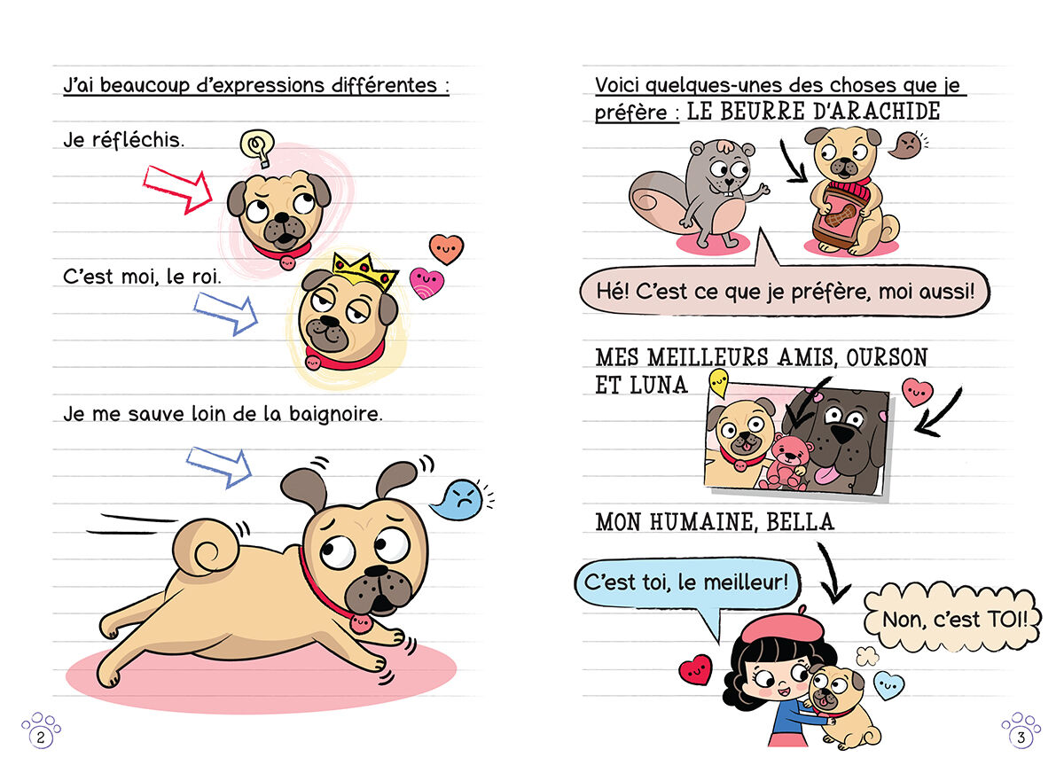 Thumbnail 5 Collection Journal d'un carlin - Tomes 7 &agrave; 10 