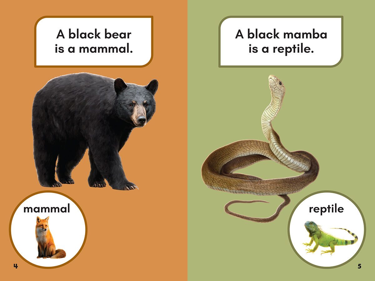Thumbnail 2 Would You Rather Be?: A Black Bear or a Black Mamba 