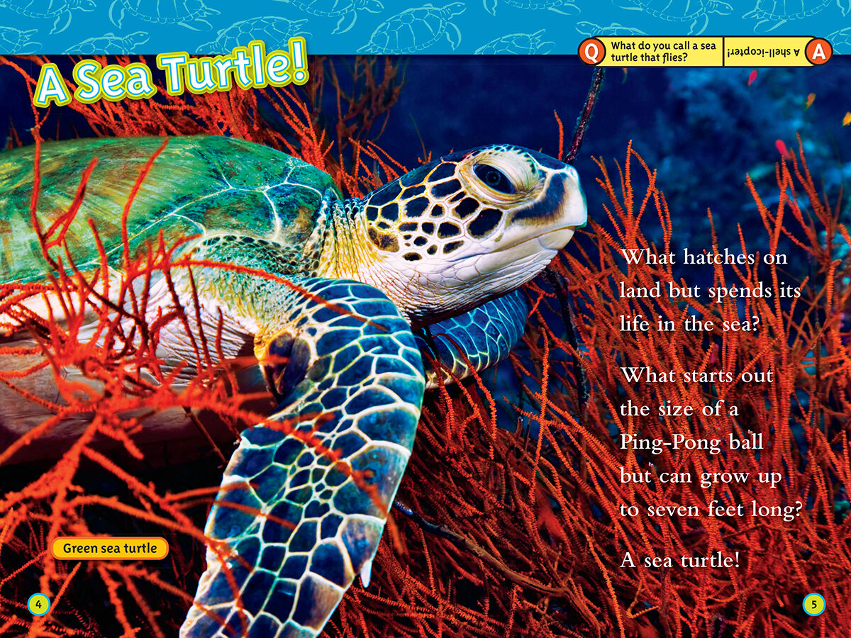 Thumbnail 5 PACK: NG: SEA LIFE READER 4 PACK 