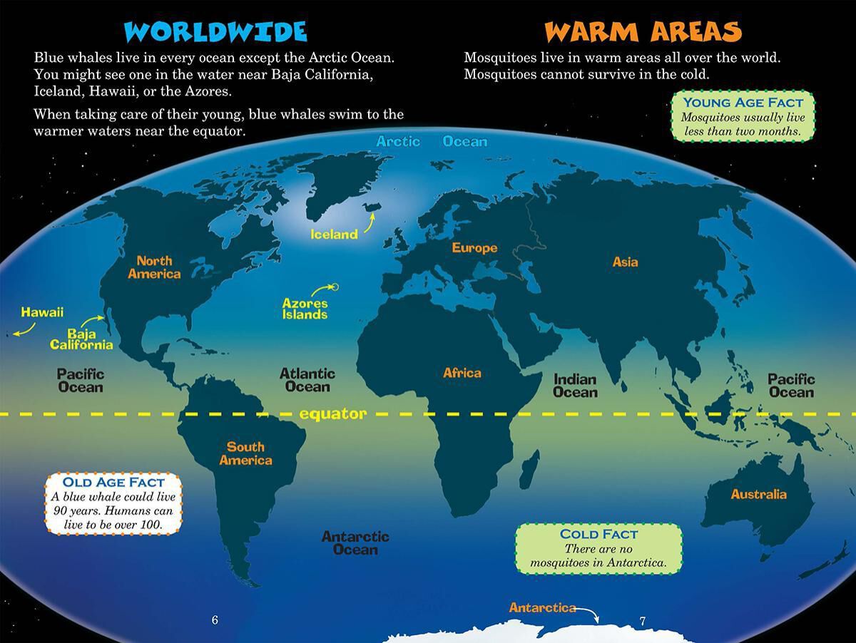 Thumbnail 3 Who Would Win? Blue Whale vs. Mosquito 