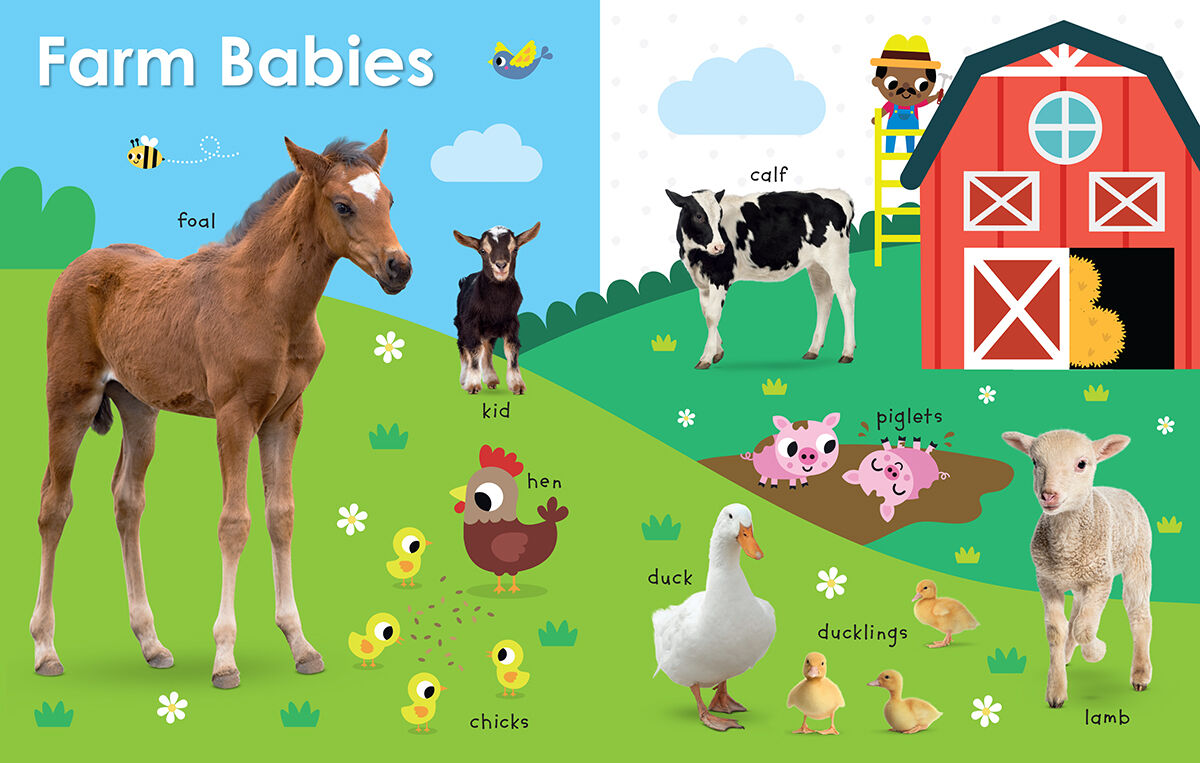 Thumbnail 3 My First Canadian Baby Animals 