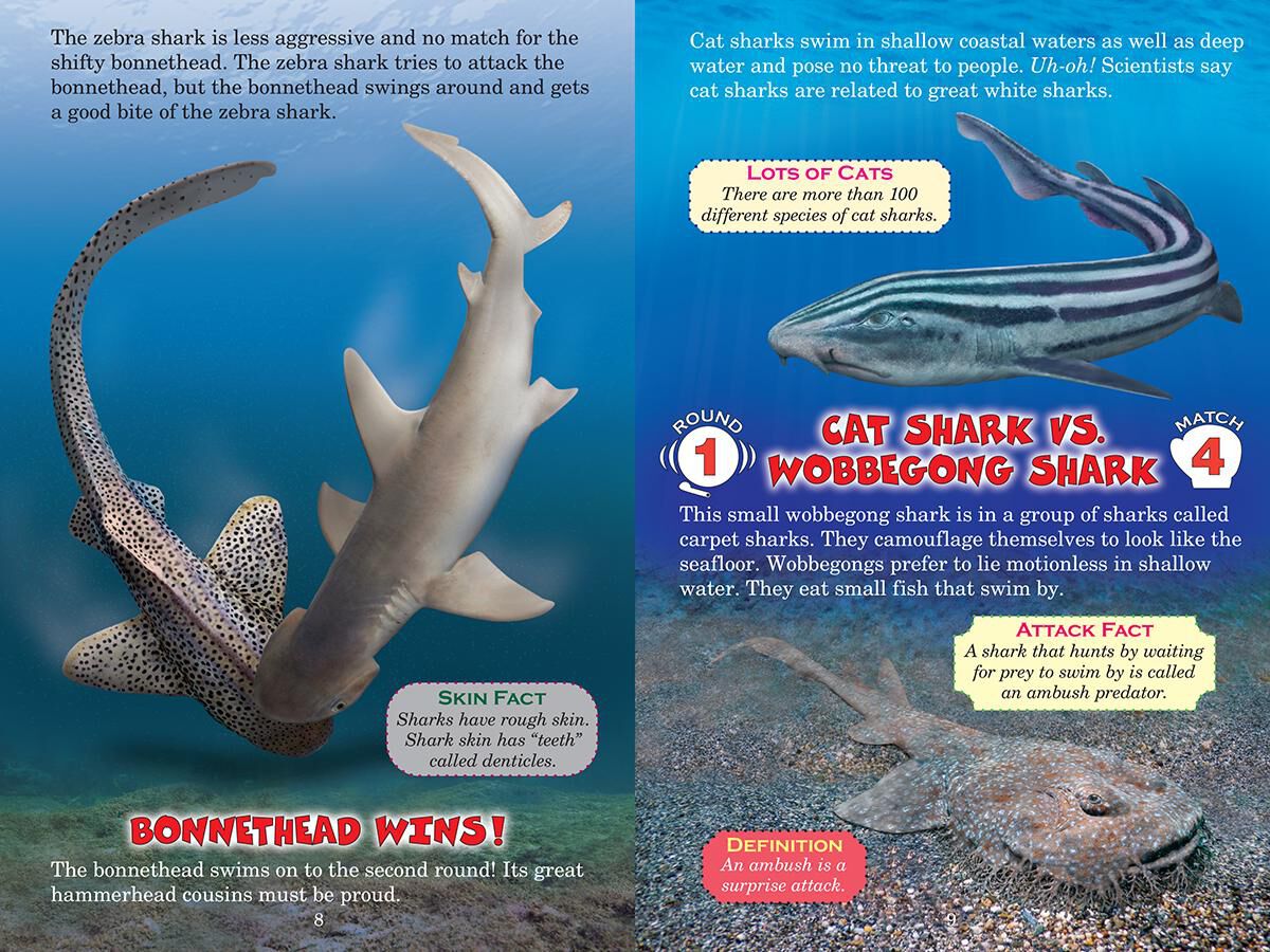 Thumbnail 4 Who Would Win? Ultimate Small Shark Rumble 