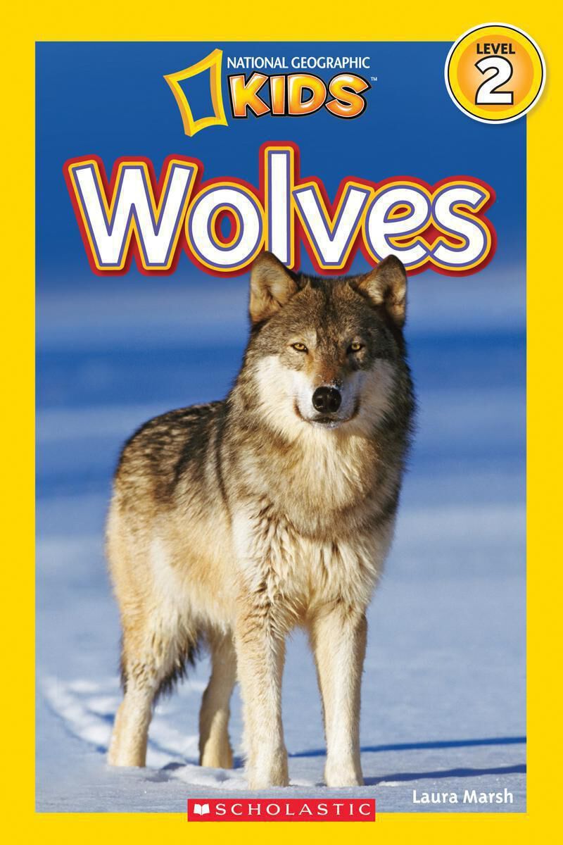 大人気新品をすべて Geographic National Kids Scholastic | 6-Pack Predators 洋書