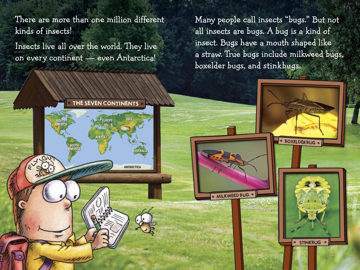 Thumbnail 7 Fly Guy Presents Fun Facts Value Pack 