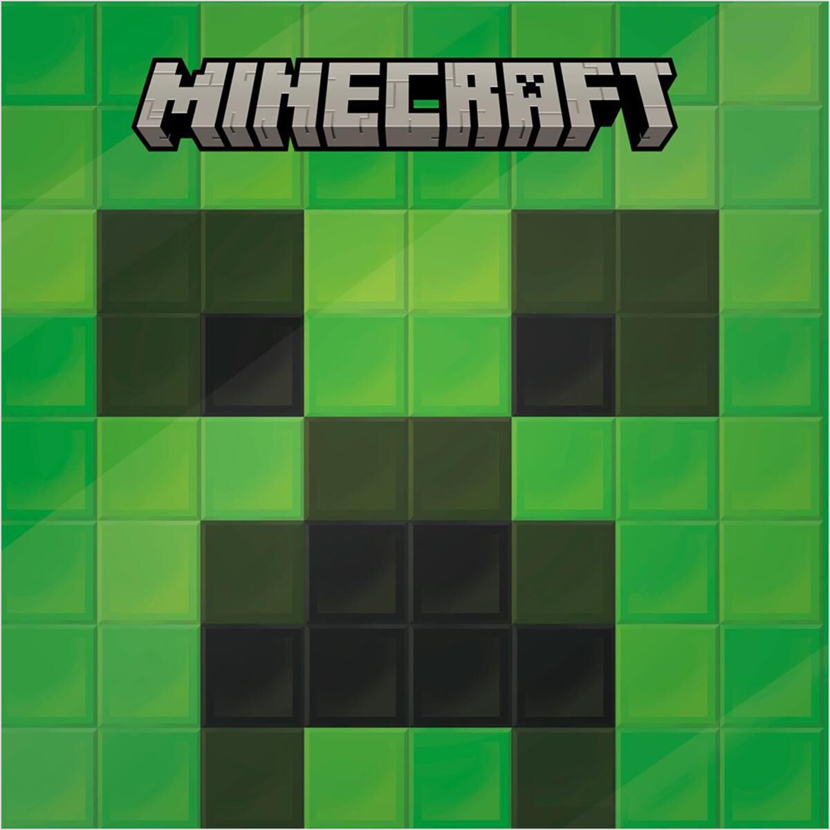 Thumbnail 2Minecraft Picture Books 2-Pack