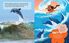Thumbnail 2 Could You Ever Dive with Dolphins!?