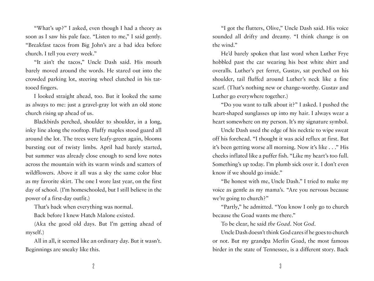 Thumbnail 3 Hummingbird 