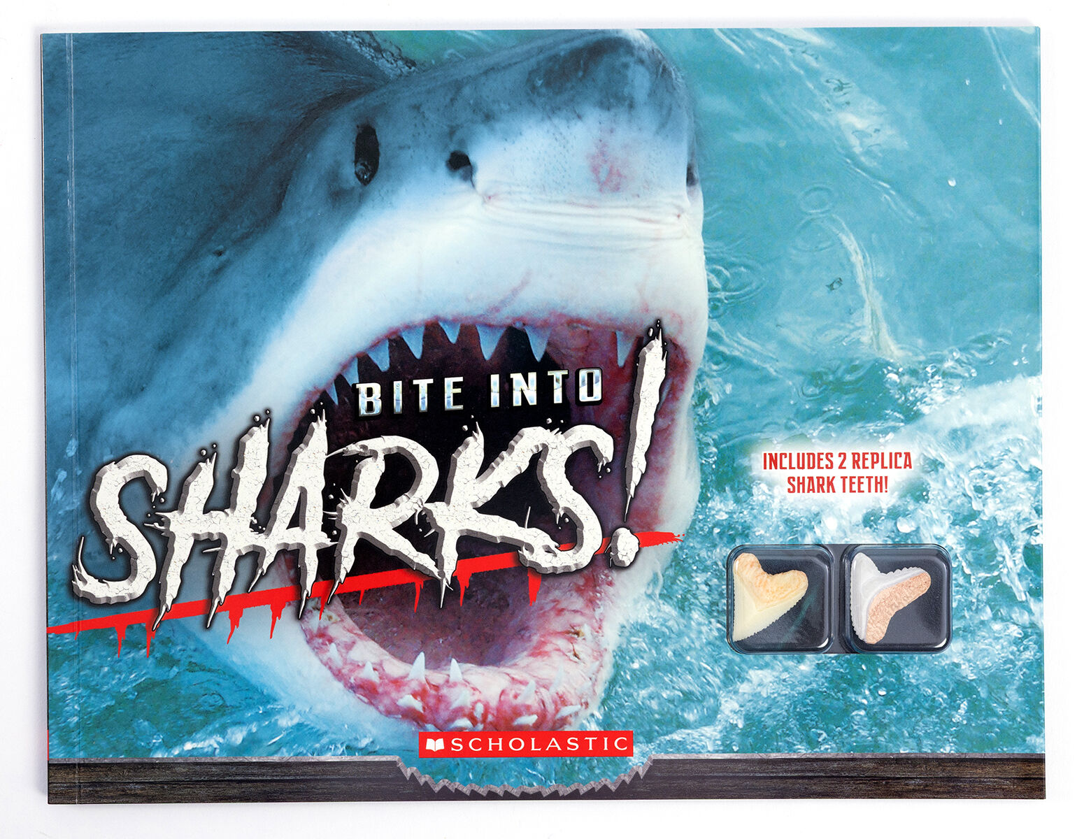  Bite Into Sharks! with Replica Teeth 