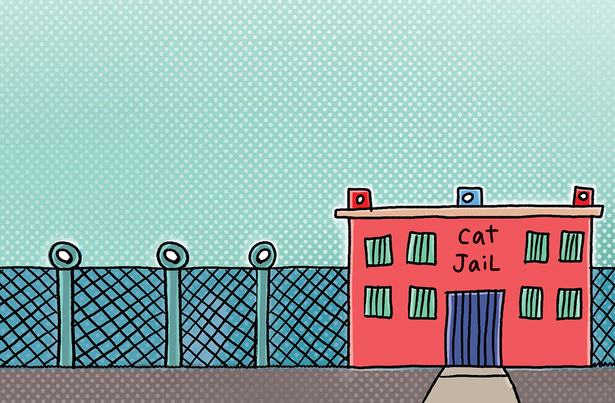 Thumbnail 2 Dog Man Sticker Book 