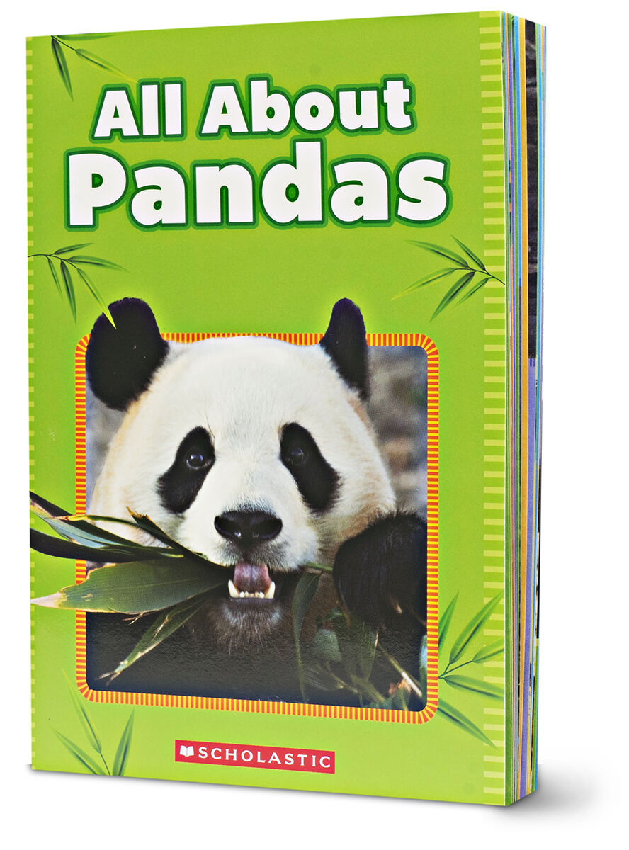 Thumbnail 2Adopt-a-Plush: Panda