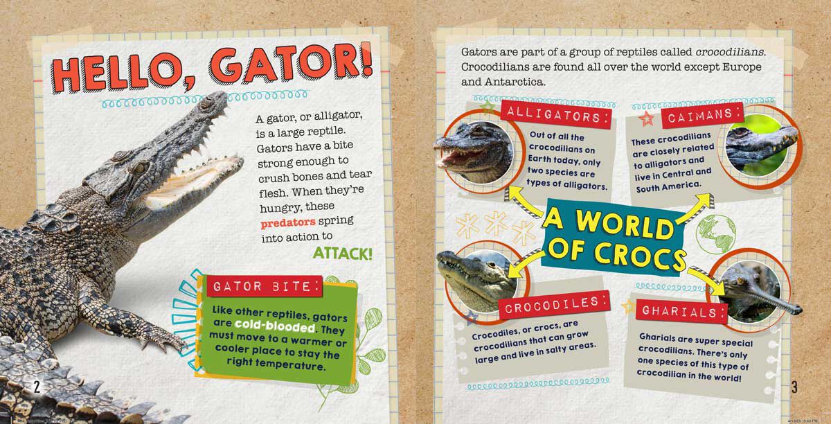 Thumbnail 3 Gator Bites 