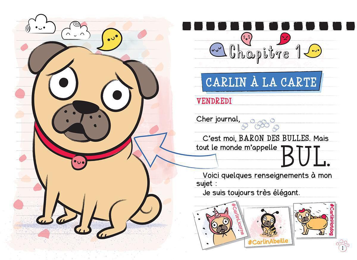 Thumbnail 3 Collection Journal d'un carlin : Tomes 1 &agrave; 6 