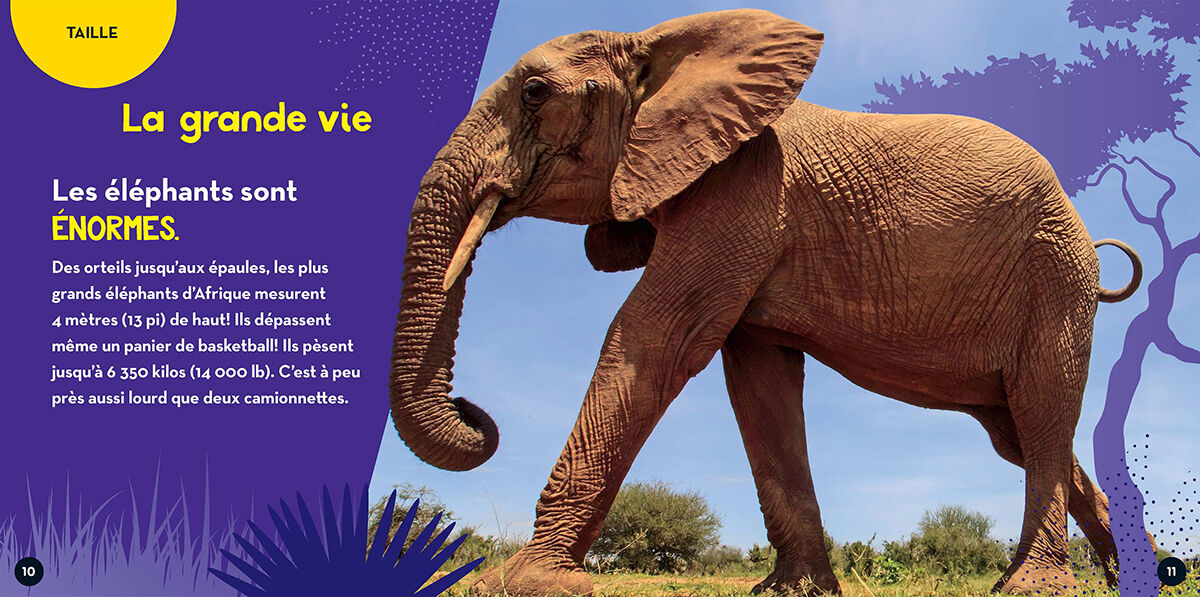 Thumbnail 2 National Geographic Kids : Vie sauvage : Les &eacute;l&eacute;phants 