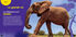 Thumbnail 2 National Geographic Kids : Vie sauvage : Les éléphants