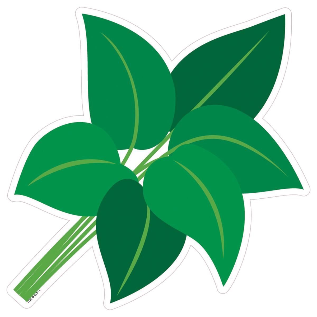 Potted Plants Designer CutOuts Scholastic Canada Book Clubs