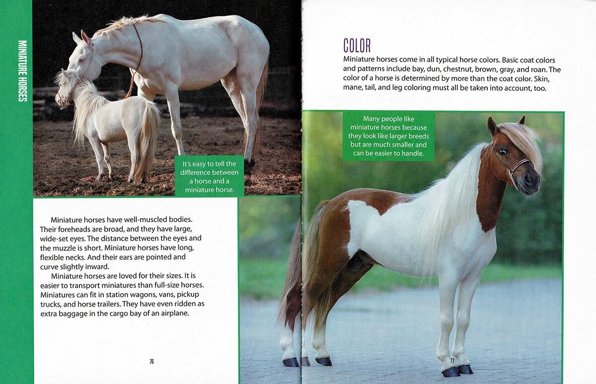 Thumbnail 4The Horse Encyclopedia for Kids
