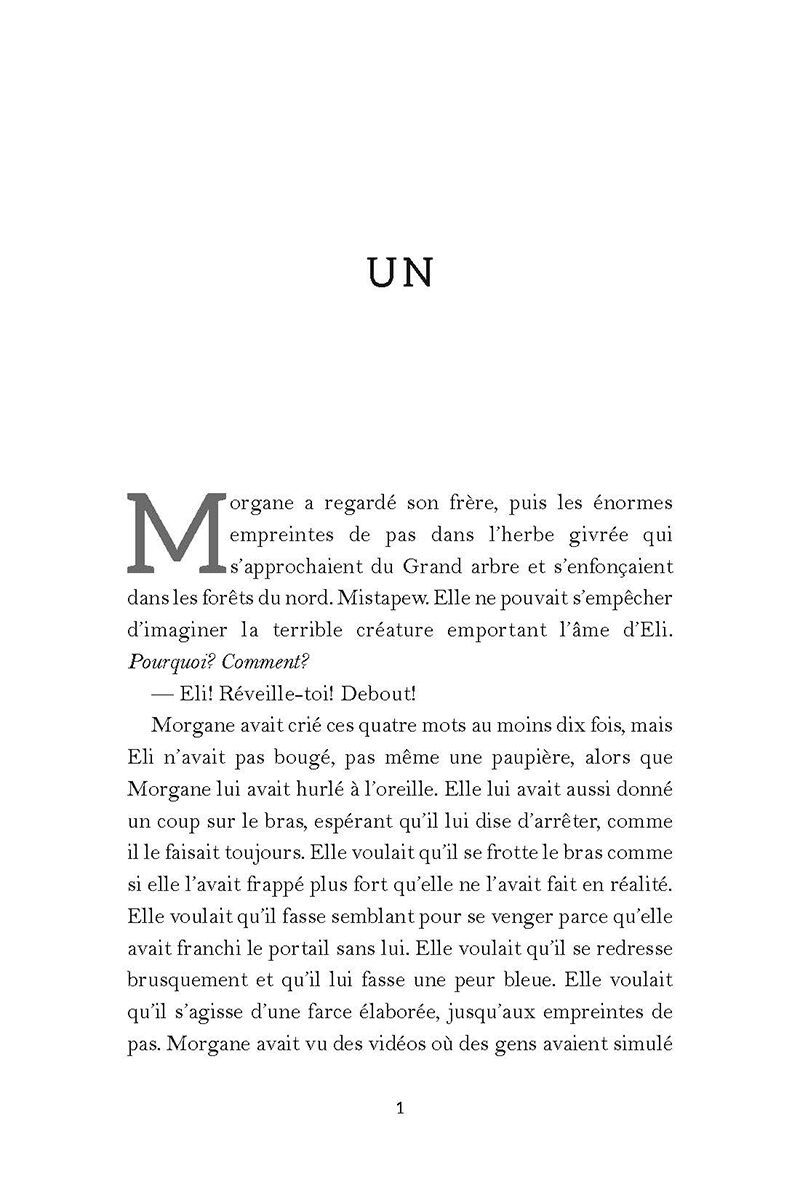 Thumbnail 2La saga Misewa : No 3 - L'enfant de pierre