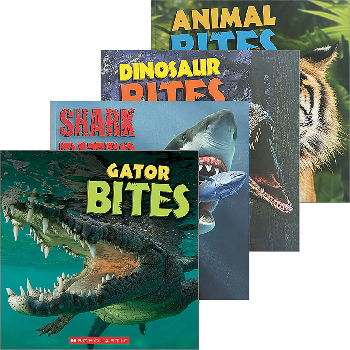 Bites 4-Pack