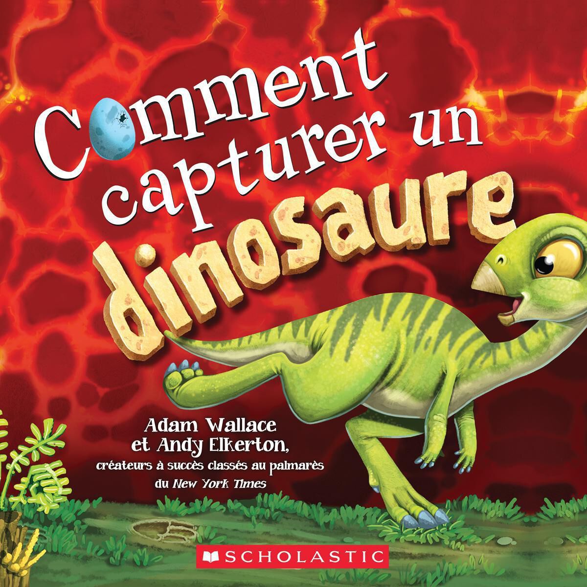 Thumbnail 11Collection Comment capturer - 11 livres