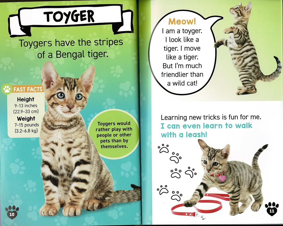 Thumbnail 3Kittens!